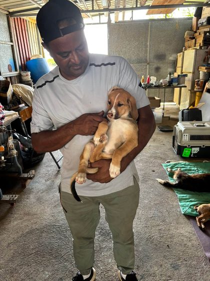 Man holding a tan puppy in his arms inside a shelter with dogs resting on mats nearby