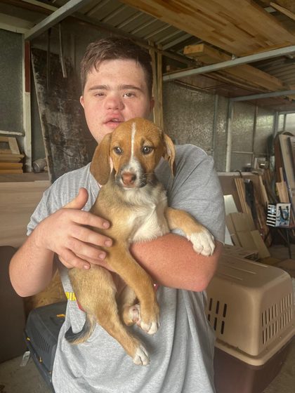 Tan and white puppy held by a young man in a garage with a pet carrier nearby
