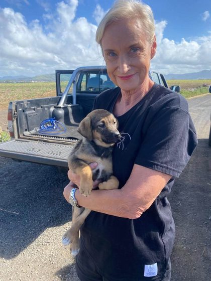 Woman in dark scrubs holding a brown and black puppy beside a pickup truck in a field