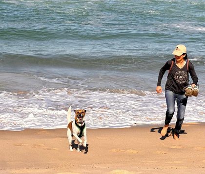 Dog running on a beach ahead of a woman jogging near the surf