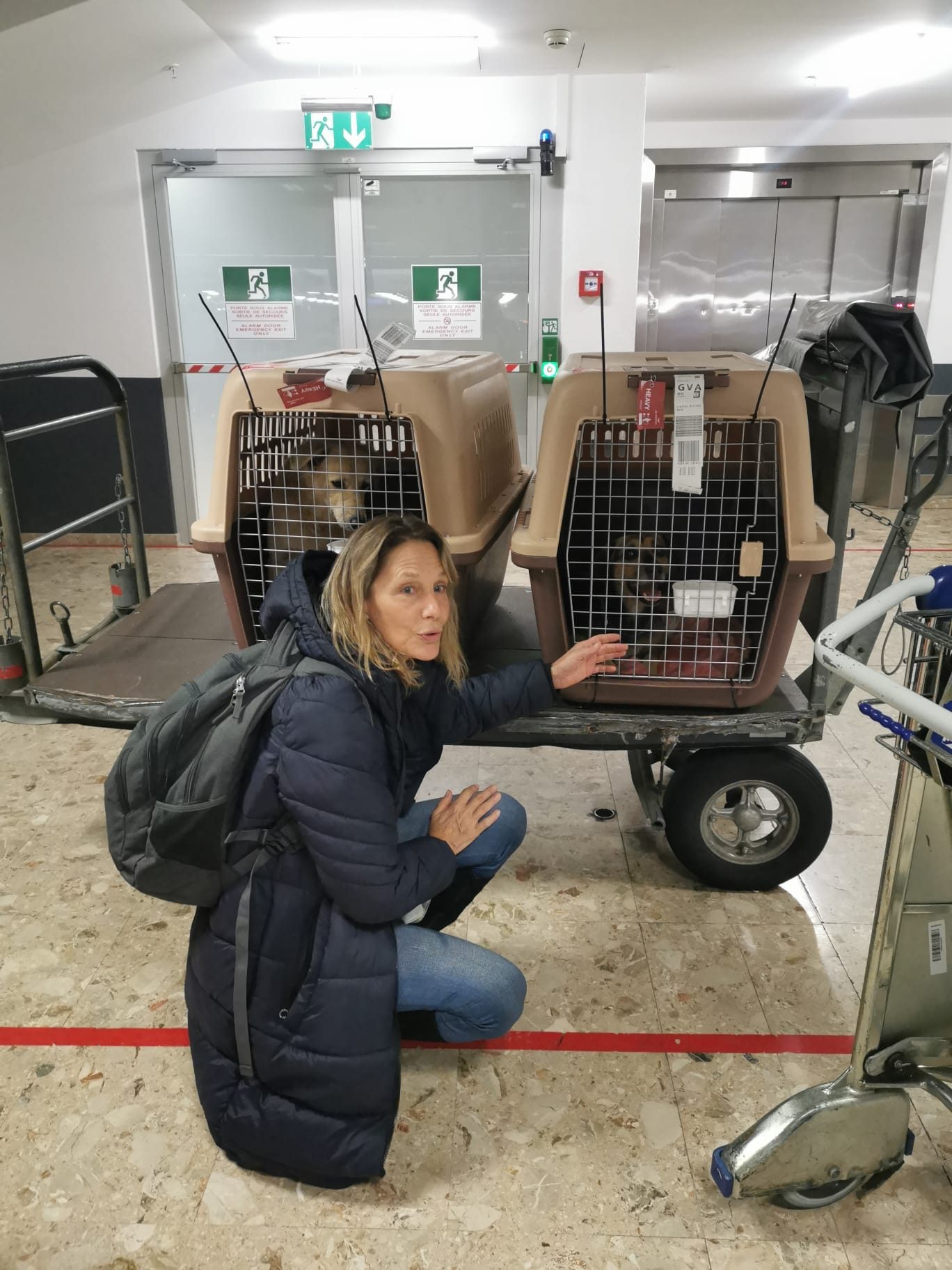 Woman kneeling beside two dogs in travel crates on a cart in an airport terminal
