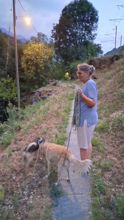 Woman on a leash holding two dogs on a paved path along a hillside at dusk