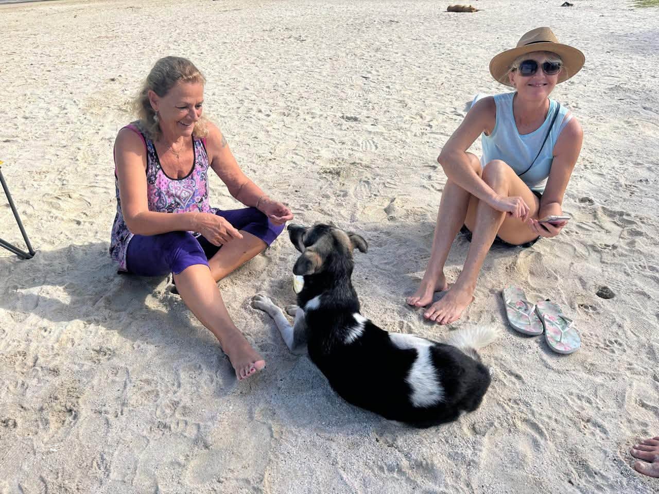 Rex sitting on Blue Bay beach between two of our volunteers, another dog lying in background